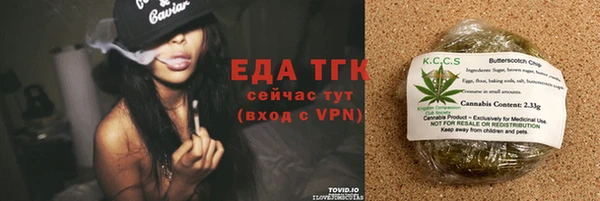 шишки Белокуриха
