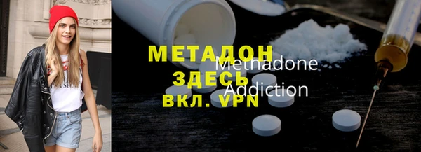 шишки Белокуриха