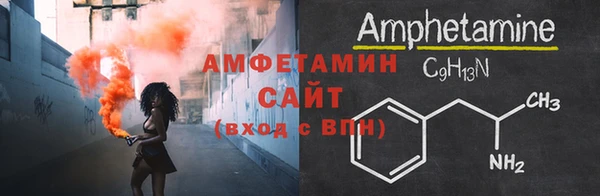 шишки Белокуриха