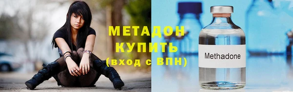 шишки Белокуриха
