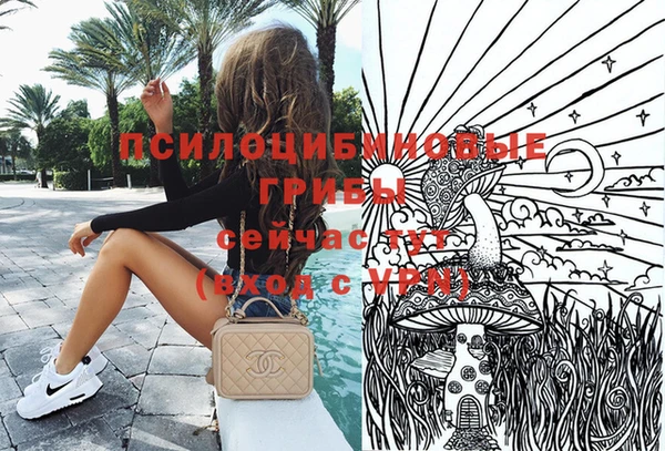шишки Белокуриха