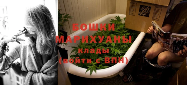 шишки Белокуриха