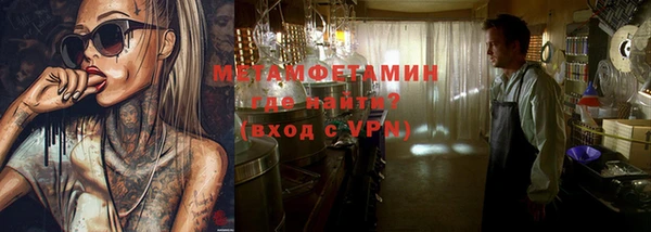 шишки Белокуриха