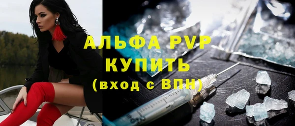 шишки Белокуриха