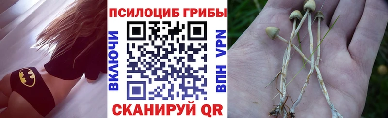 Псилоцибиновые грибы GOLDEN TEACHER Окуловка
